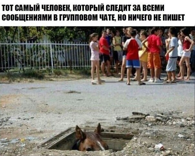 Нестандартный юмор