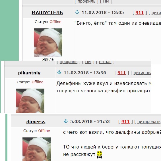 Дельфин и русалка