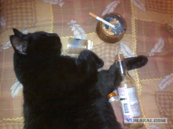 Ну что, поговорим?
