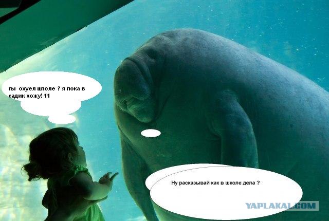 Первый контакт состоялся