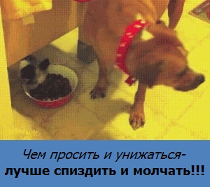 В большой семье ебл..м не щёлкают!