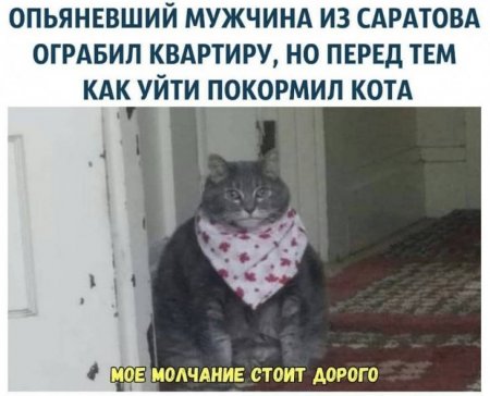 Разные по свежести картинки