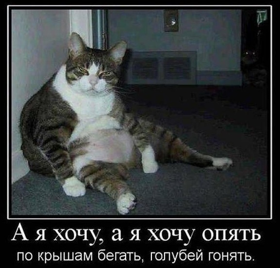 Давным-давно такое называлось ДЕМОТИВАТОРЫ