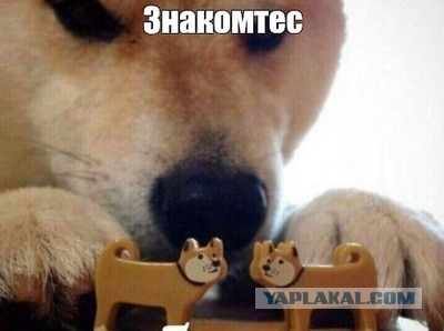 «Иногда меня тошнит от мужчин»: 44-летняя проститутка из Сыктывкара рассказала о своей "работе"
