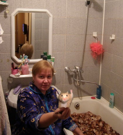 Фотожаба: Грибы на ноутбуке