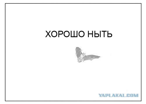 Фотожаба: Самое точное объявление (фото)