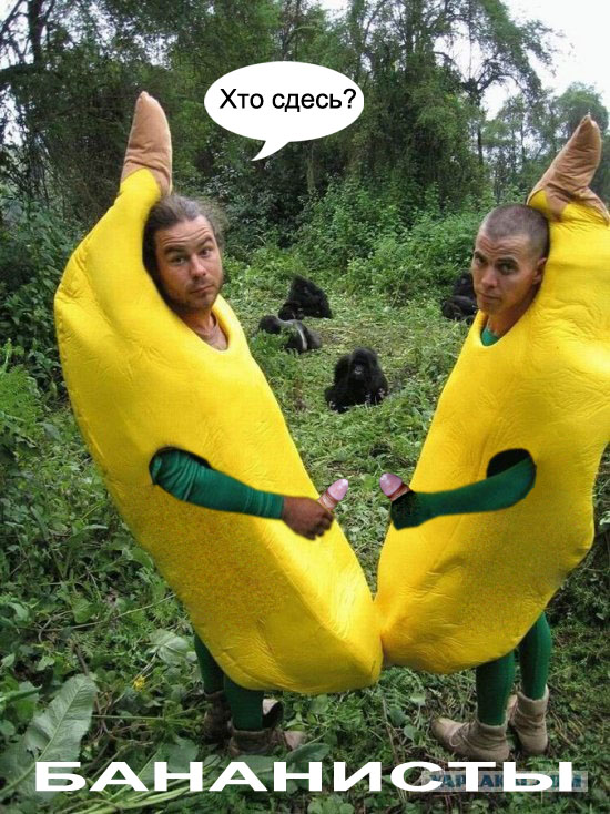 Друзья обезьян