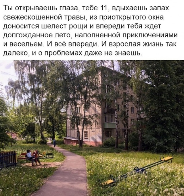 Картинки разнообразные. На злобу дня и на доброту (28.07)