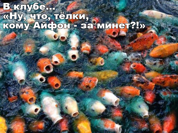 Прикольные и просто красивые картинки 11.08.2020
