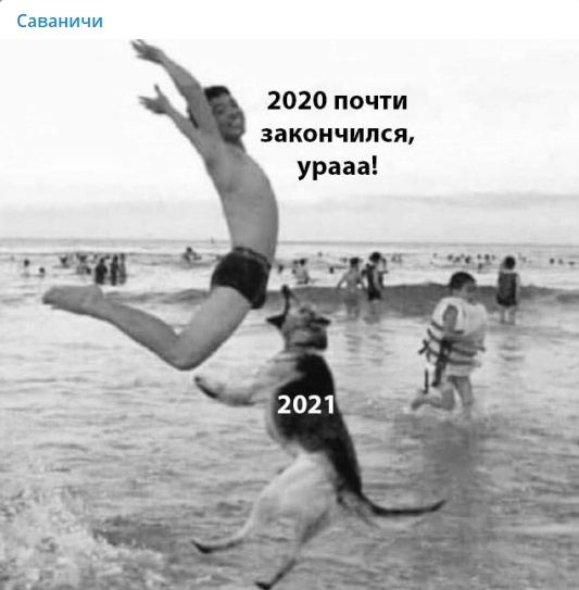 Юмор в картинках 11.11.2020 (2)