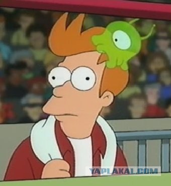 Эпичный кот