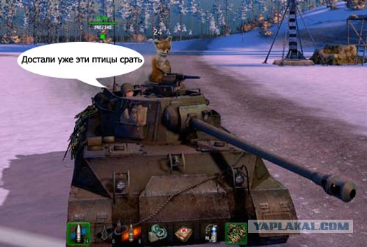 Таксидермия + наркомания