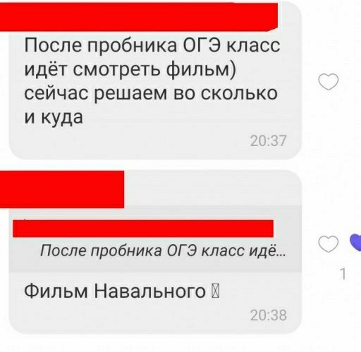 В след за студентами добрались и до школьников, школы обязали занять детей 23 января