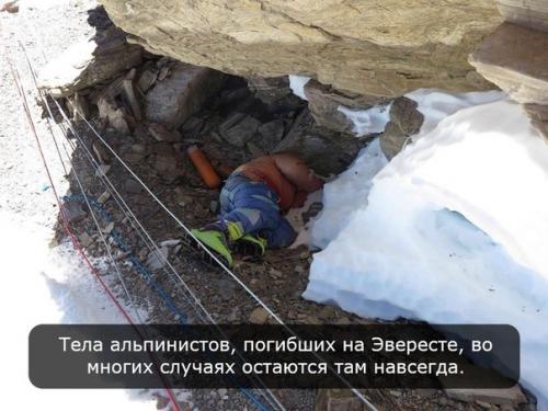 Безумству храбрых...