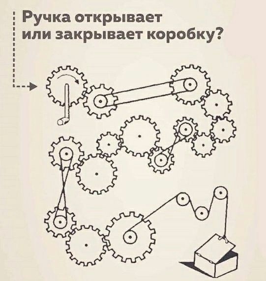 18 увлекательных фактов обо всём, которые приятно помассируют ваш мозг новыми знаниями