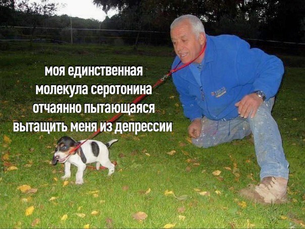 Картинки и мемы для настроения