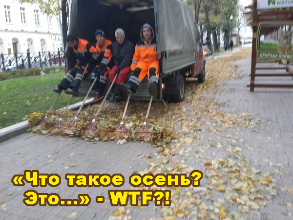 Так себе картинки 04.09.21