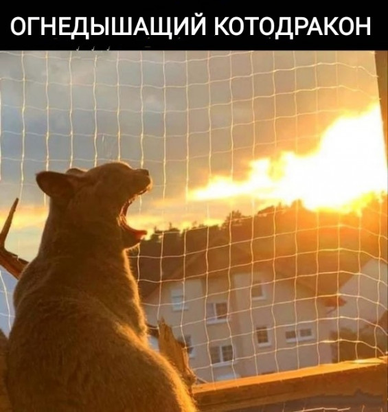 Всяческие картинки