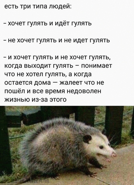 Баянисто-небаянистый юмор 10.10.21