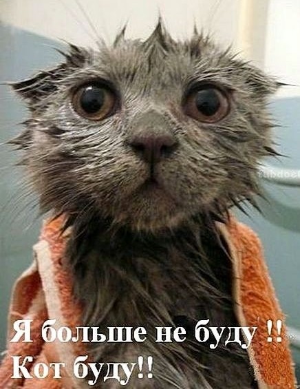 Фото со съёмок фильма: "День независимости", 1996