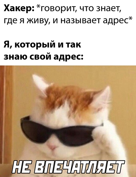 Картинки и мемы для настроения  - 31