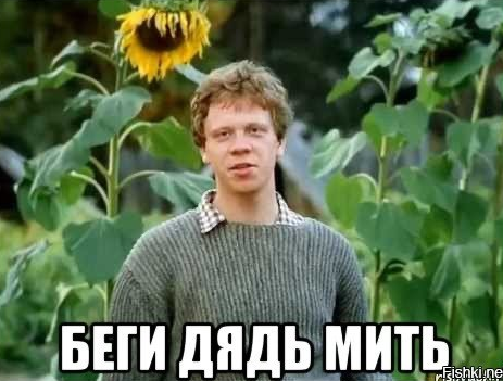 Невестка взялась делить нашу квартиру