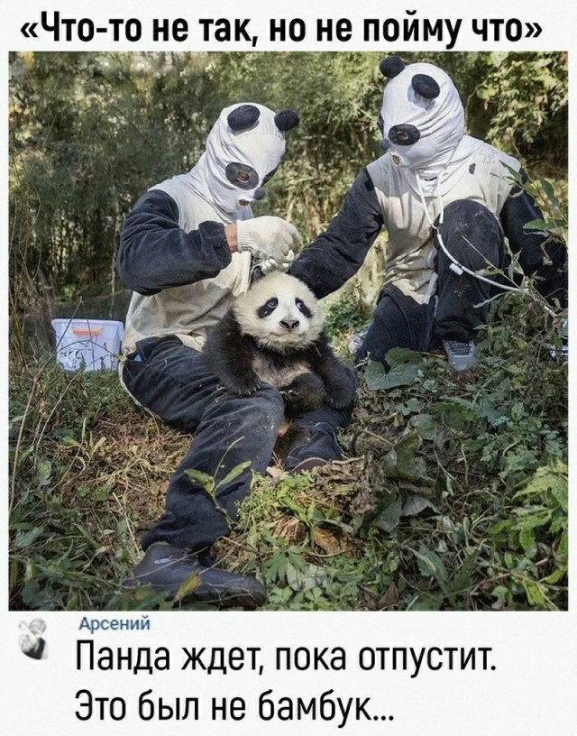 Просто картинки 20шт