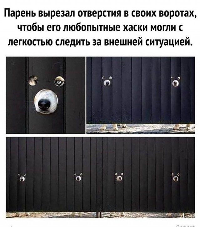 Картинки и мемы для настроения. Выходные скоро