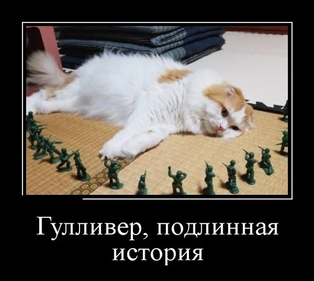 Картинки с надписями 28.08.22