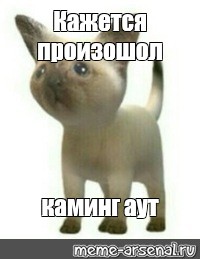 Пандемия съехавших крыш - разновидности болезни. Россия и мир. Часть 44.