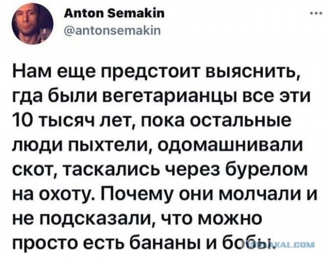 Немного картинок для настроения - 137