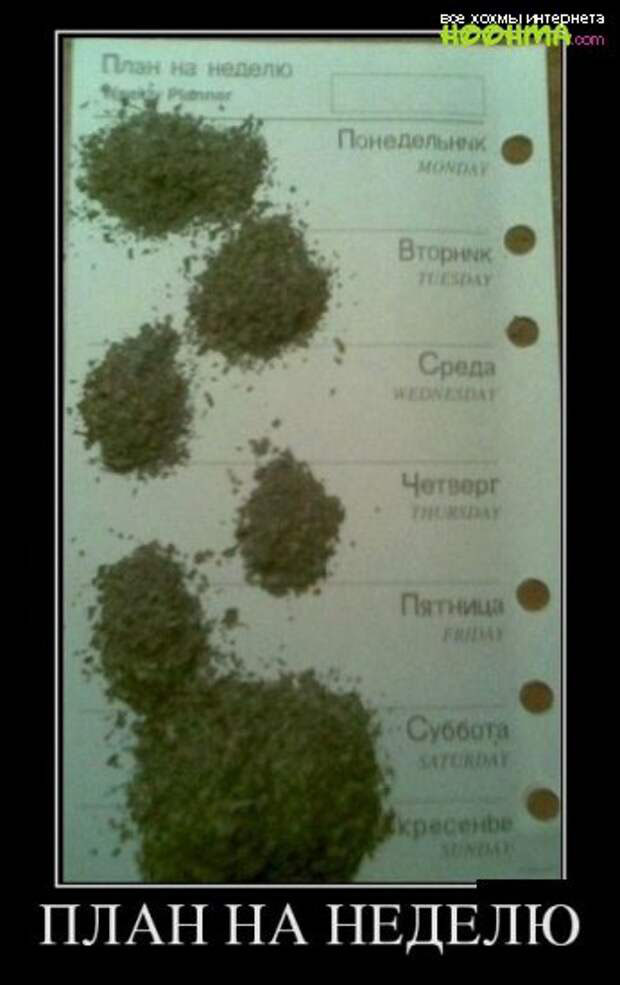 Прикольные и просто красивые картинки 16.12.2022