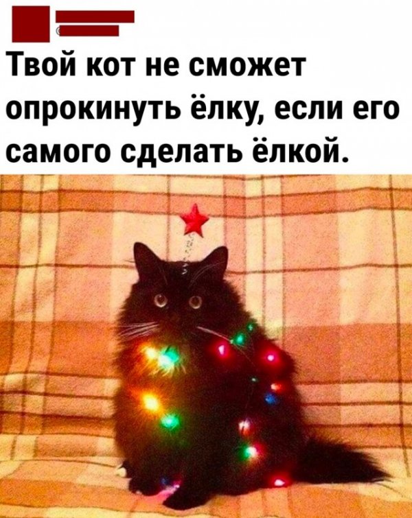 Прикольные и просто красивые картинки 10.01.2023