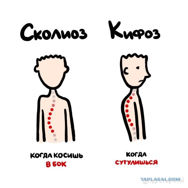 Смотри, Кутузов, не перепутай...