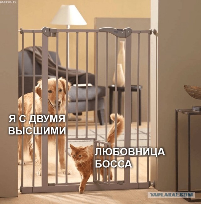 Немного картинок для настроения - 133