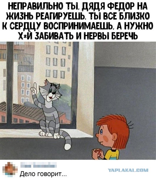 Жена собралась разводиться!