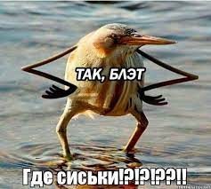 «Нам такая Наташа не нужна». Новосибирские православные активисты потребовали лишить Наталию Орейро российского гражданства