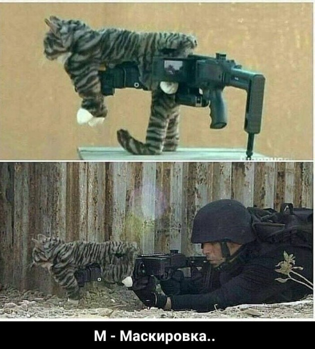 Пятничное улыбательное