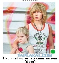Автодемотиватор на ЯПе