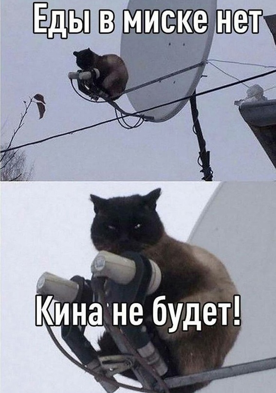 Так себе картинки 17.01.24