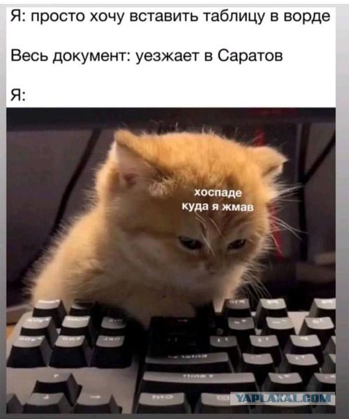 LOLтиночки