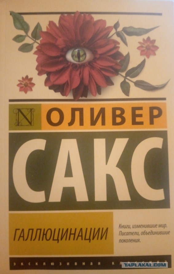 Кто что читает, товарищи?