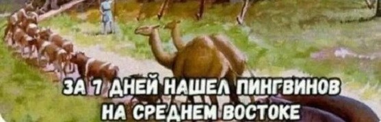 Картинки разные с надписями и без