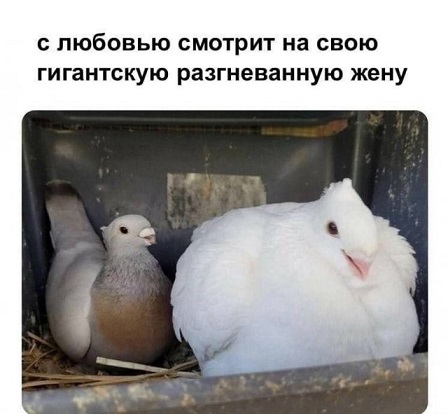 Но... надо!