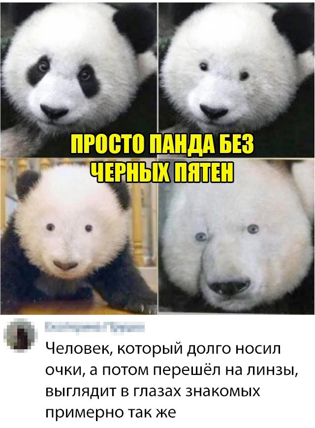 Так себе картинки 04.03.25