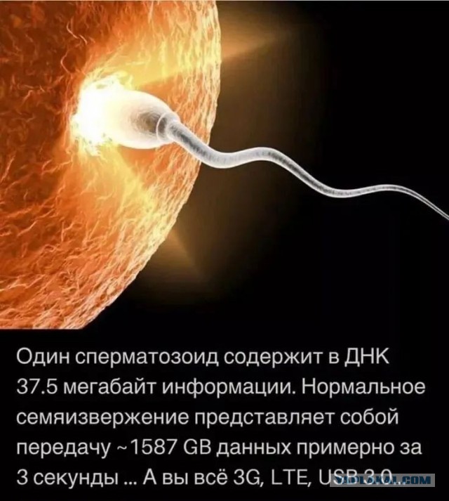 Маленькая пятница 4.06.25