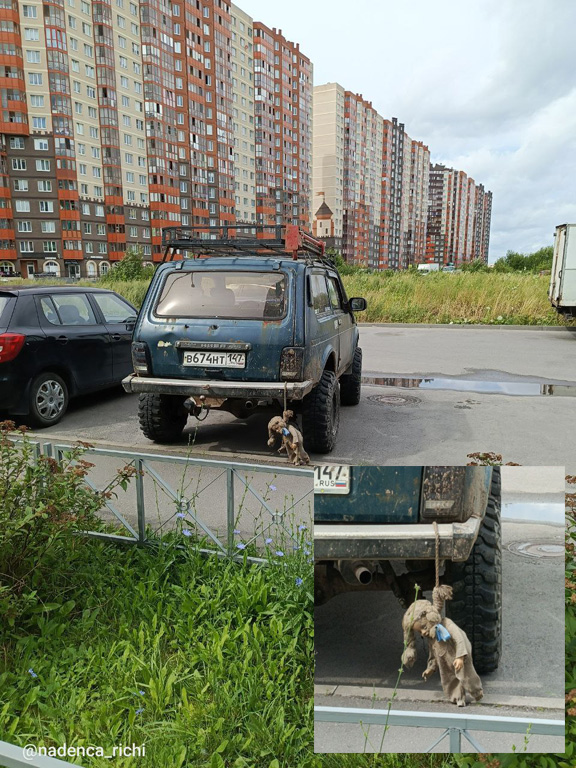 Веселые картинки в маленькую пятницу (06.08)