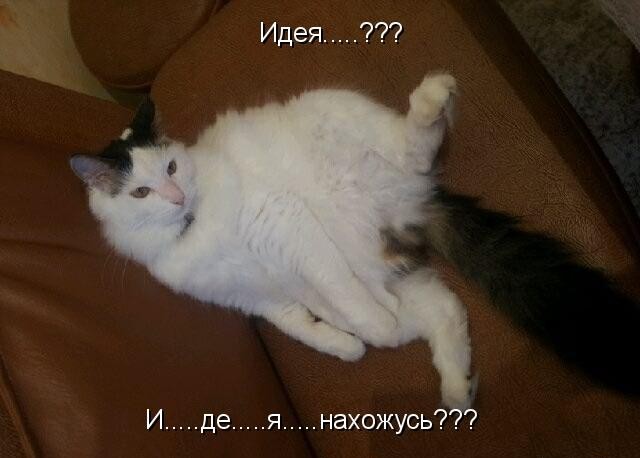 Граждане и гражданки ЯПа
