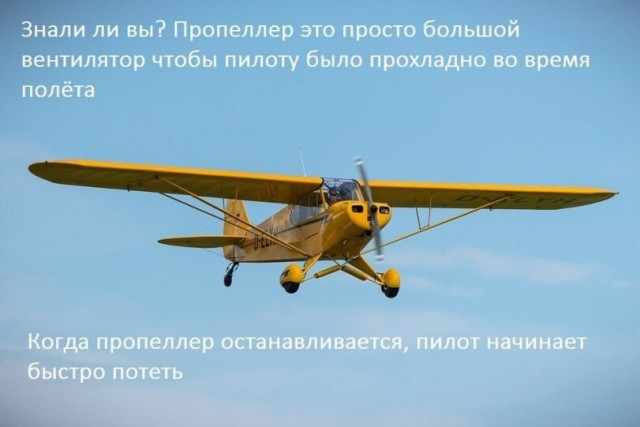 Картинки для деградации 38 (разной степени свежести)