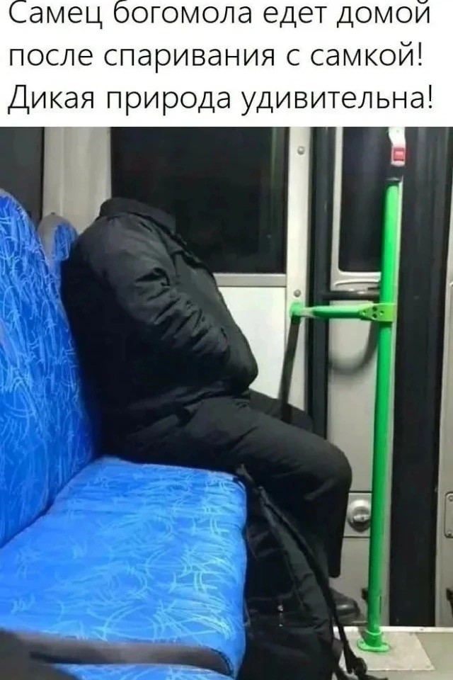 Картинки среды